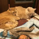 Janet Loving - @loving5634 - Instagram
