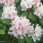 Jane Lowther - @jane_lowther - Instagram