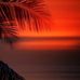 Janet Luff - Facebook