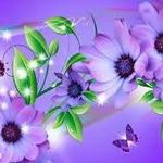 Lavender Lavender - @janet.lum.90 - Instagram