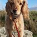 Janet Lunn - Facebook