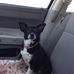 Janet Scheve Luttrell - Facebook