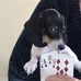 Janet Lyness - Facebook