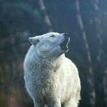 JANET LYNNE WHEELER1 - @janetlynnewheeler1 - Instagram
