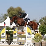 JanetMaas-Reitsportnachmaas - @janetmaasreitsportnachmaas - Instagram