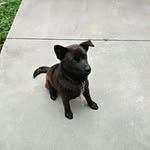Janet Mabe - @mabe977 - Instagram