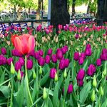 Janet Macdougall - @macdougalljanet - Instagram