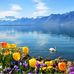 Janet MacDougall - Facebook