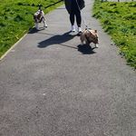 Janet MacDougall - @janetmacdougall - Instagram