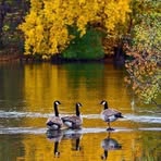 Janet Mackley - Facebook