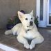 Janet MacGregor - Facebook