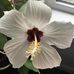 Janet Macgregor - Facebook
