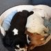 Janet Machin - Facebook