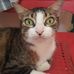 Janet Machin - Facebook