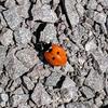 Jane.maclean - @jane.maclean - TikTok