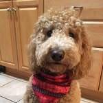 Janet MacLeod - @janet.macleod.754 - Instagram