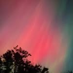 Janet MacQuarrie - @janet.macquarrie.5 - Instagram