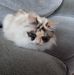 Janet Madeley - Facebook