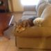 Janet Maes - Facebook