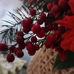 Janet Mahmoodiyan - @janetmahmoodiyan - Instagram