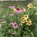 Janet Maher - Facebook