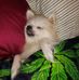 Janet Maines - Facebook