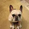 janetmaire528 - @janetmaire528 - TikTok
