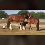 Janet Maisonet - Facebook