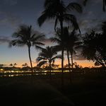 Janet Maley Dessauer - @janetdesssuer - Instagram