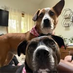 Jane Mapes Allen - @jane.allen.5 - Instagram
