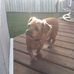 Janet Mapes - Facebook