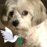 Janet Brinkley-Marker - @janet.marker.91 - Instagram