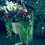 Janet Emert Martindale - @janetemertmartindale - Instagram
