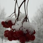 Janet Martindale - @janet.martindale.167 - Instagram