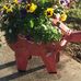Janet Martindale-Bullock - Facebook