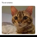 Janet Mata - @janetmata2.9 - Instagram