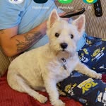 Janet Mather - @janet.mather.969 - Instagram