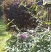 Janet Mattern - Facebook