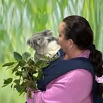 Janet Mayes - @jancatmayes - Instagram