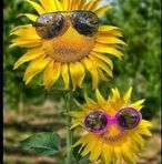 Janet West McArdle - Facebook