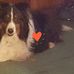 Janet McBryde - Facebook