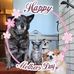 Janet McGregor - Facebook