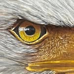 Janet McGregor-Dewhirst - @mcgregordewhirst - Instagram