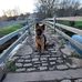 Janet McHale - Facebook