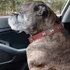 Janet Mchenry - @janet.mchenry - TikTok