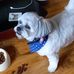 Janet Mckay - Facebook