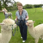 Janet Mckay - @jannypanny71 - Instagram
