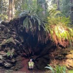 Jane McLemore - @saguaro.herbal.collective - Instagram