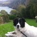 Janet McManus - Facebook