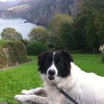 Janet McManus - @mcmanus9234 - Instagram